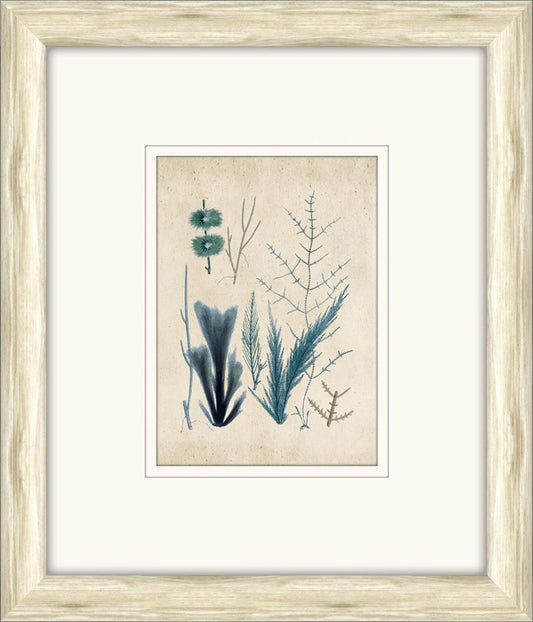 Sea Life in Light Wood I