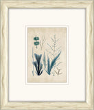 Sea Life in Light Wood I