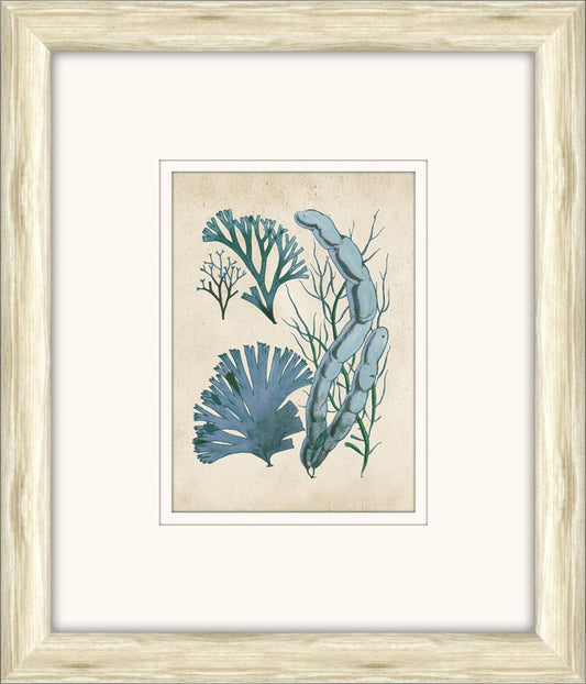 Sea Life in Light Wood III