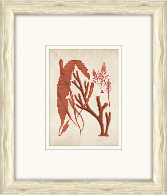 Sea Life in Light Wood IV