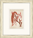 Sea Life in Light Wood IV