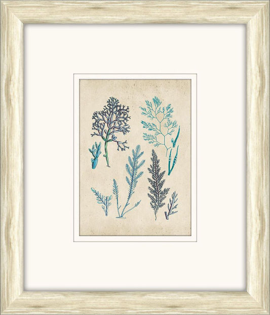 Sea Life in Light Wood V