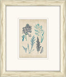 Sea Life in Light Wood V