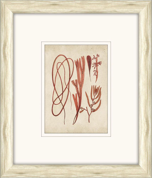 Sea Life in Light Wood VII