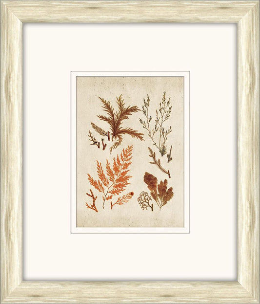 Sea Life in Light Wood IX