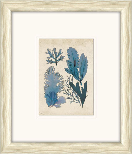 Sea Life in Light Wood X