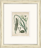 Sea Life in Light Wood XI