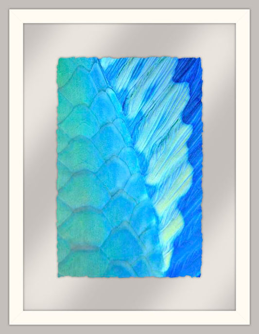 Solace - La Paz, Mexico