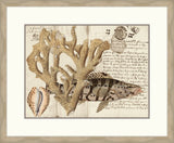 Sealife Journal II
