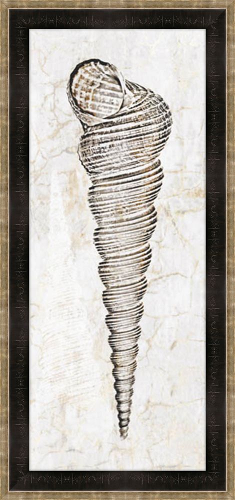 Aquatic Resources Shells I