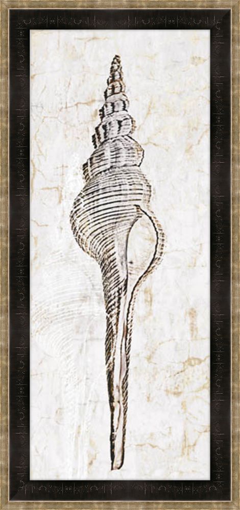 Aquatic Resources Shells I