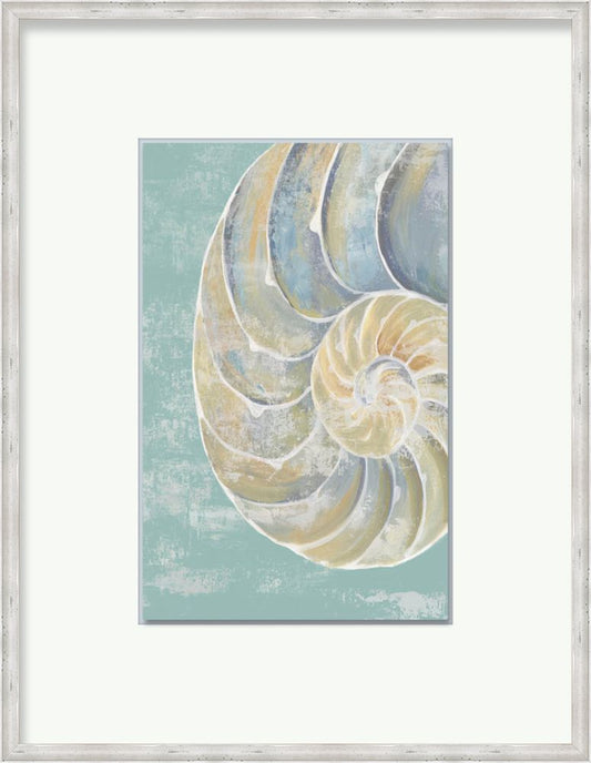 Pastel Shell II
