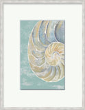 Pastel Shell II