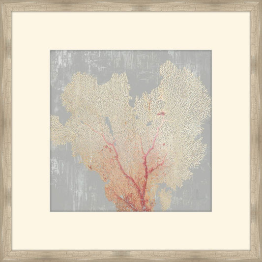 Blush Coral I