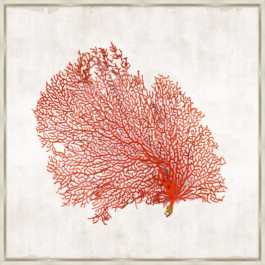 Crimson Coral I