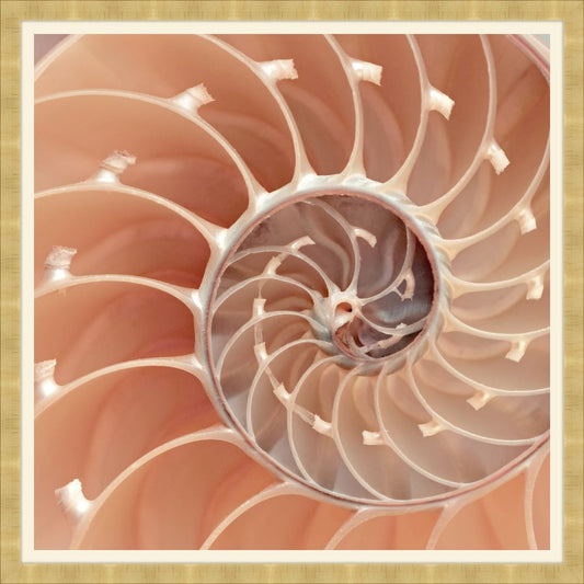 Fibonacci I
