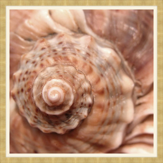 Fibonacci II