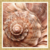 Fibonacci II