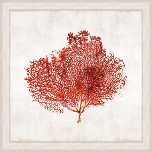 Crimson Coral Grande II