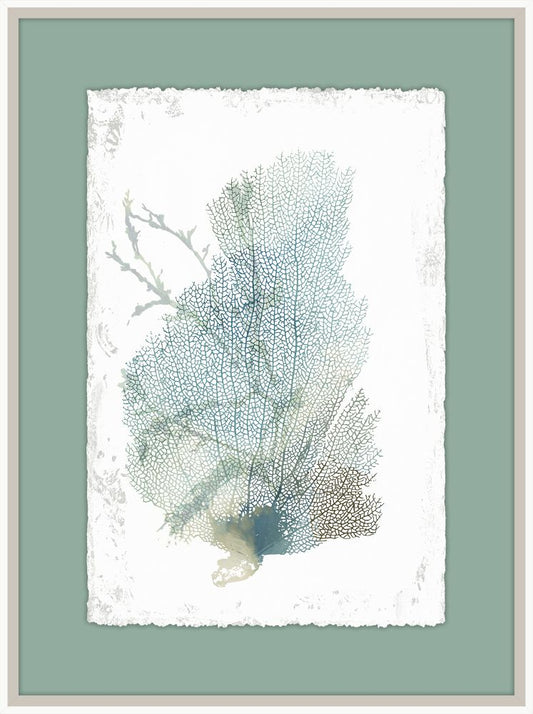 Teal Delicate Coral II