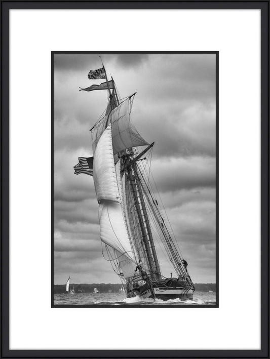 Maryland Schooner I