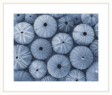 Blue Sea Urchins II
