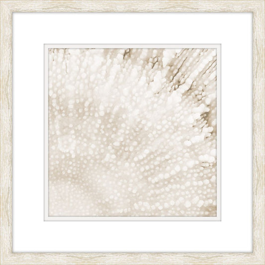 White Coral III