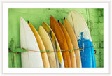 Surfboards Lined Up