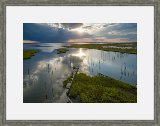 Coastal Wetlands I