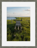Coastal Wetlands II
