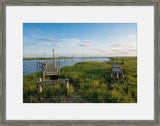 Coastal Wetlands III