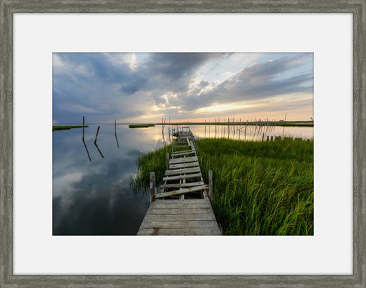 Coastal Wetlands IV