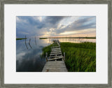 Coastal Wetlands IV
