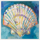 Scallop Shell