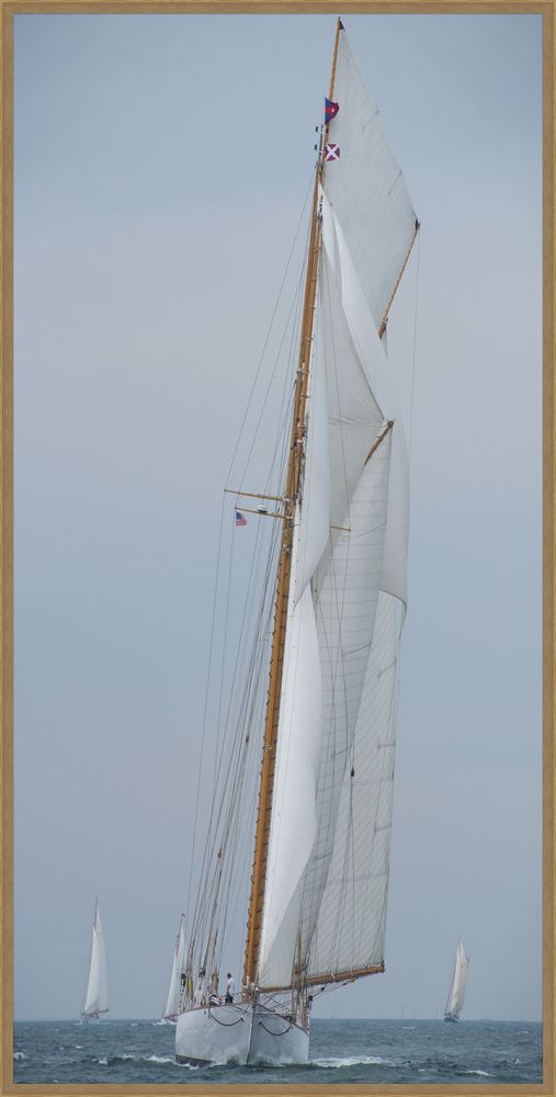 White Sails  - Grande