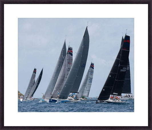 America's cup -the Race on