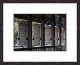 Windows on Paradise II