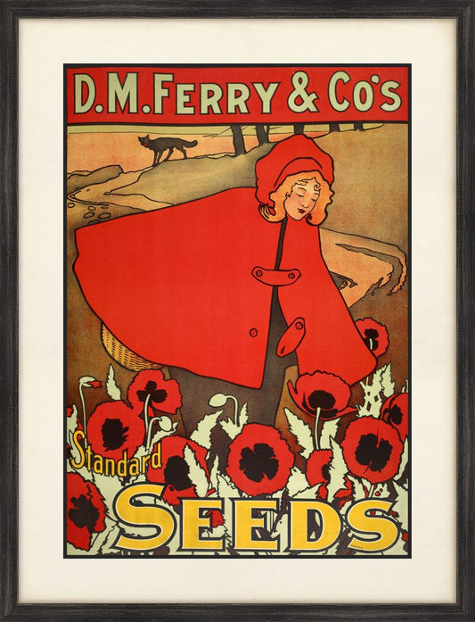 Ferry Seeds I