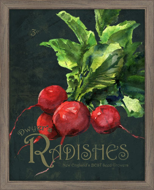 Seed Packet Radishes