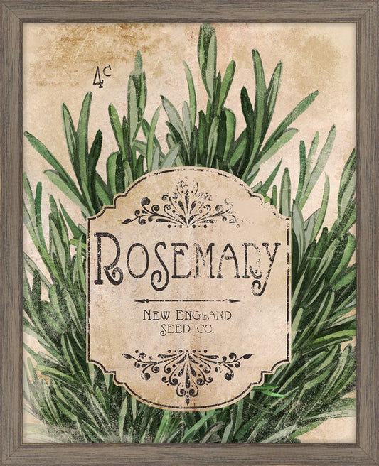 Seed Packet Rosemary