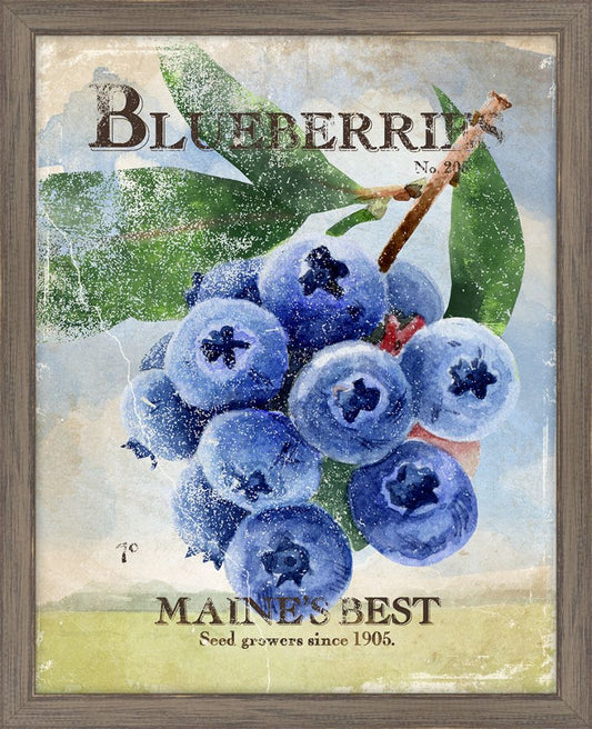 Seed Packet Blueberries