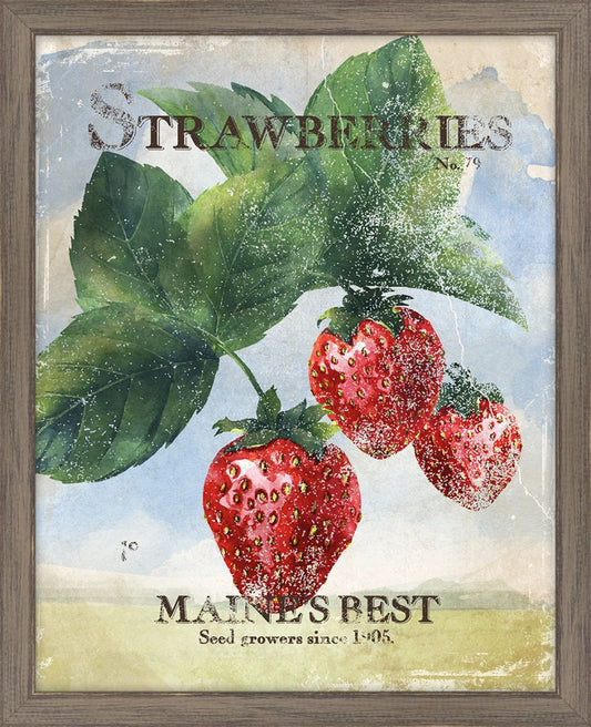 Seed Packet Strawberries