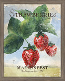 Seed Packet Strawberries