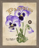 Seed Packet Pansies