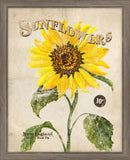 Seed Packet Sunflowers