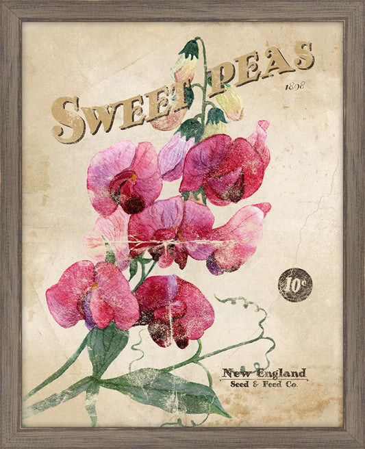 Seed Packet Sweet Peas