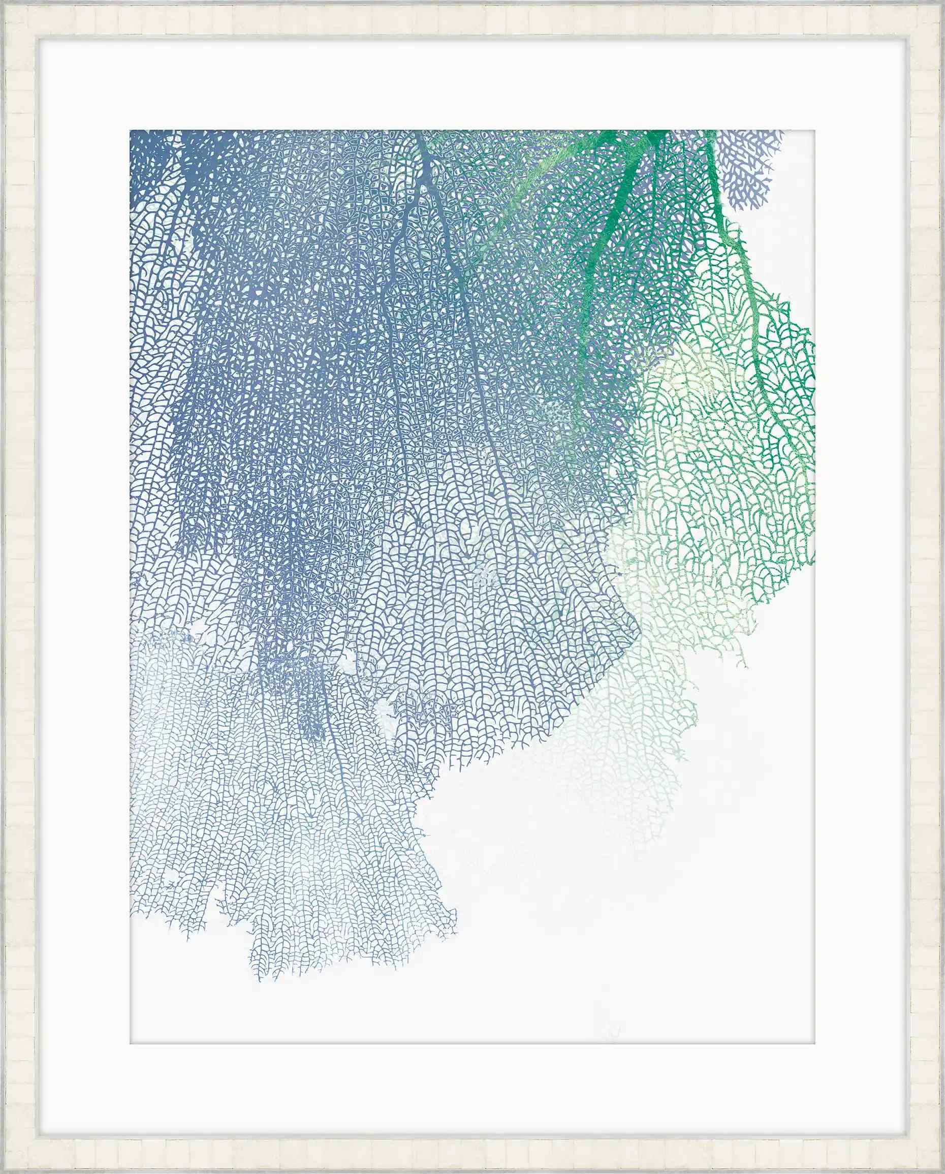 Natures Intricate Veil I