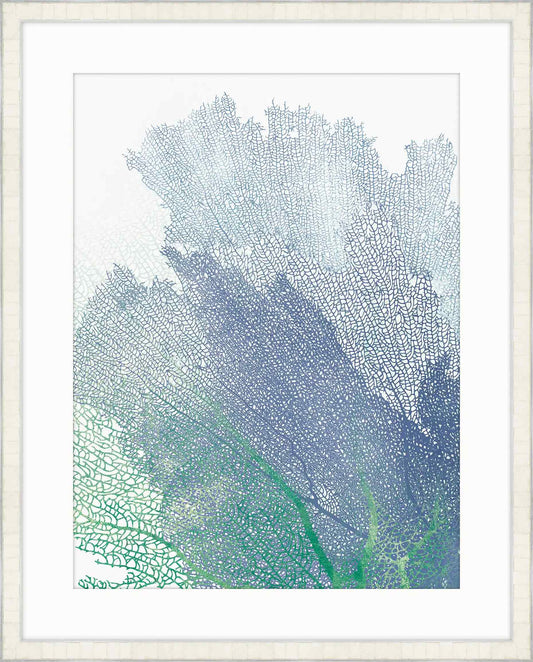 Natures Intricate Veil Ii