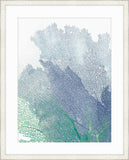 Natures Intricate Veil Ii