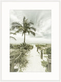 Vintage Path To The Beach